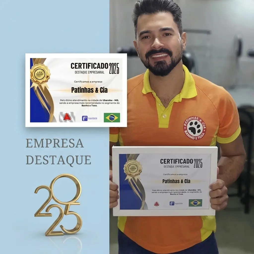 Certificado Destaque 2025