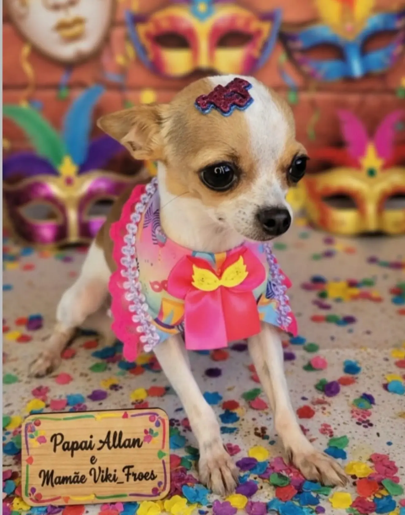 Pet Amigo
